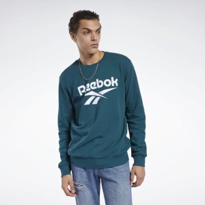 Bluza Męskie Reebok Classic Vector Crew Jasny Turkusowe PL 30IHDPA